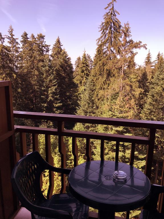 Iceberg Hotel Borovets Dış mekan fotoğraf